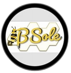 Retro B Sole